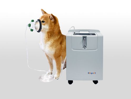 5L Veterinary Oxygen Concentrator